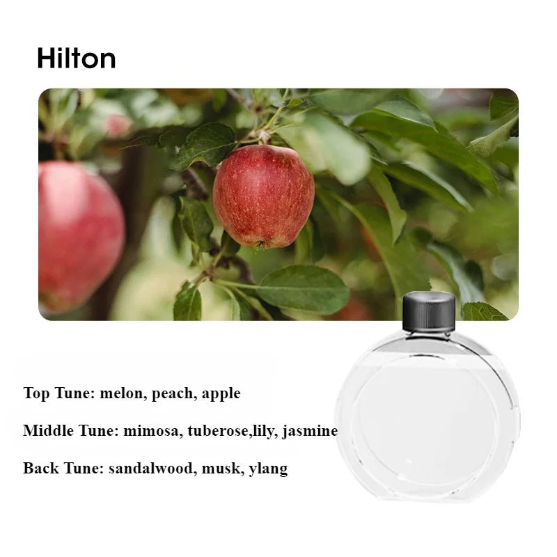 Difusor 2 en 1 – Aromaterapia & Luz Ambiental